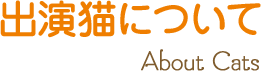 出演猫について