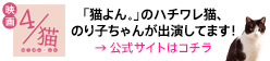 映画「4/猫(ねこぶんのよん)」 | 「猫よん。」のハチワレ猫、のり子ちゃんが出演してます!