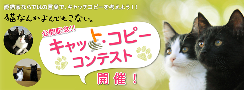 映画公開記念“キャット・コピー”コンテスト開催