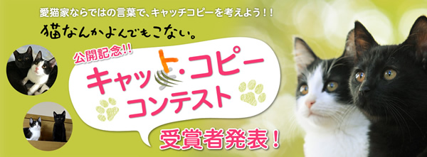 “キャット・コピー”コンテスト受賞者発表だにゃ!!