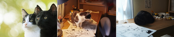 猫好き代表の著名人の方々から、心温まるコメントが到着！