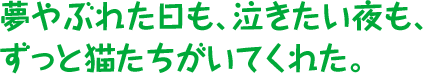 夢やぶれた日も、泣きたい夜も、ずっと猫たちがいてくれた。